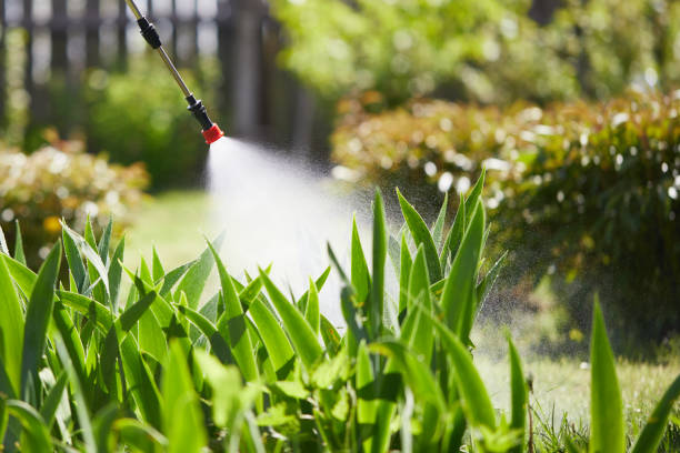 Tamper-Resistant Bait Stations for Rodents in Horse Pasture